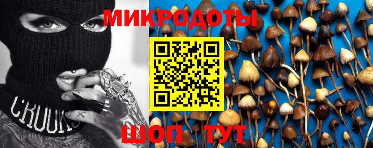 Галлюциногенные грибы MAGIC MUSHROOMS  Вход с VPN  Лабинск 
